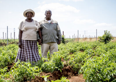 Farmnet Research