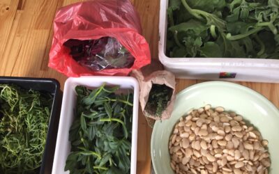 South African slow food knowledge-sharing community launched over a good meal