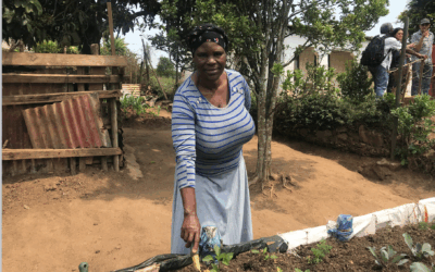 Innovation and collaboration are critical to addressing food insecurity