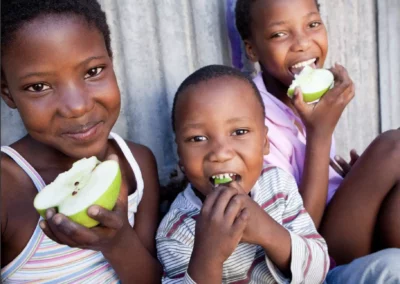 The Future of South Africa’s Food System: What is research telling us?