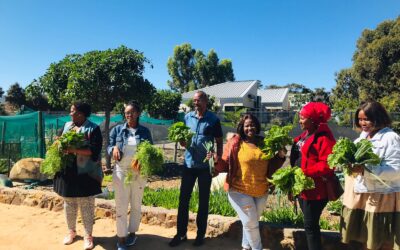 Thirty farmers in Inchanga aim to supply vegetables locally