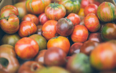 Retailers must step up to the plate on food security