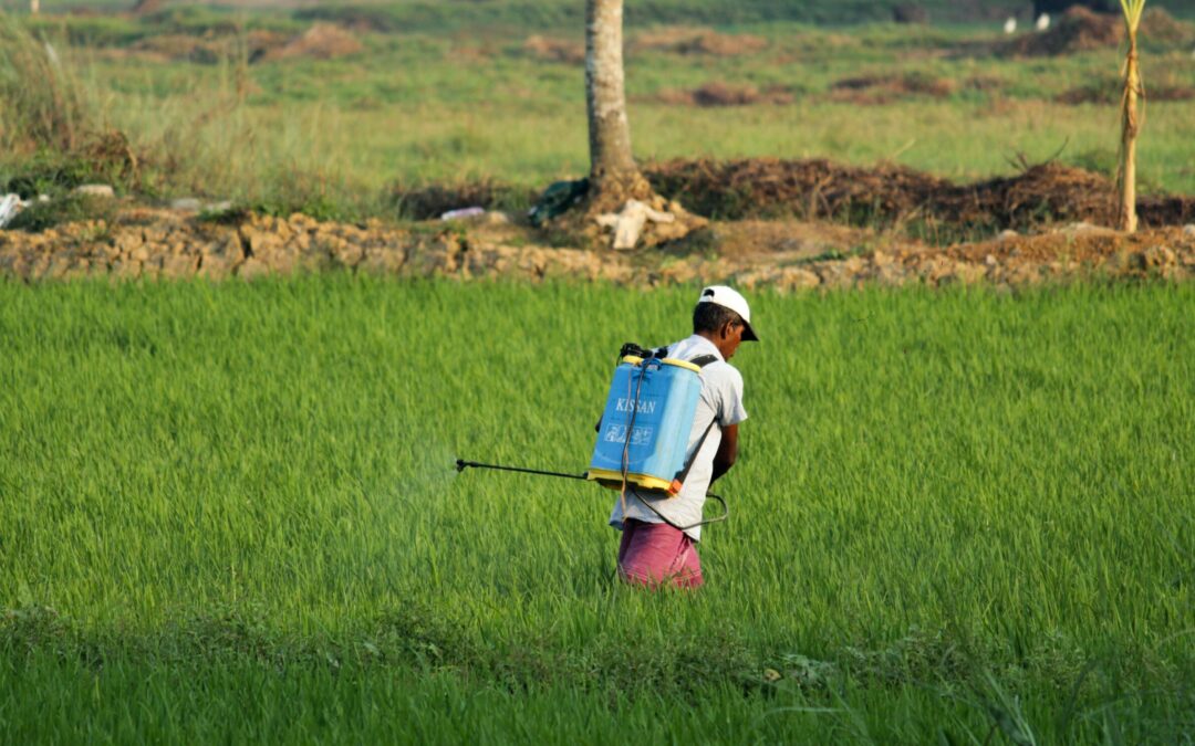 Female farmworker collective fights against eu-banned pesticides