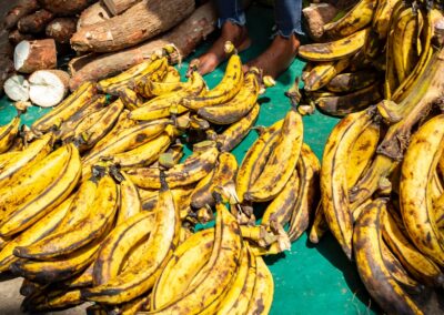 Understanding Food Loss and Waste Streams