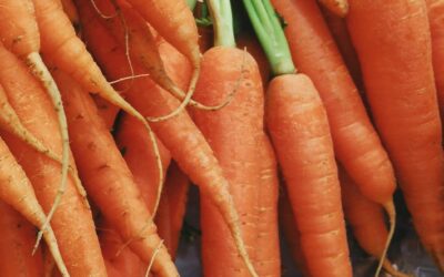 WWF report: agri-food systems – facts and futures