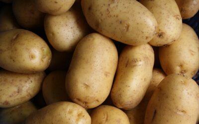 R3 million potato harvest gone! Joye fights to get back up