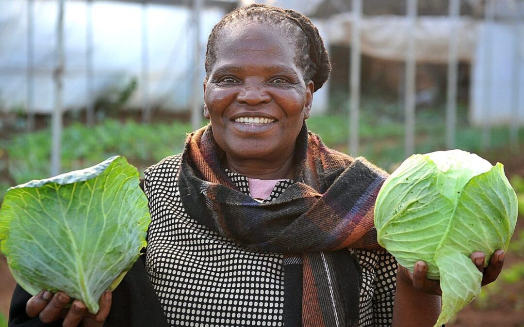 Agroecological understanding, practice and advocacy in South Africa