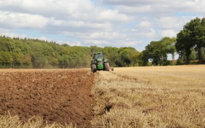 Civil society response to the supplementary budget and the implications for food security and land reform