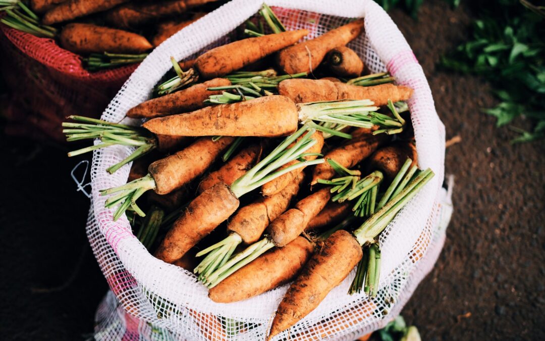 Why food affordability? Exploring social justice and political economy imperatives