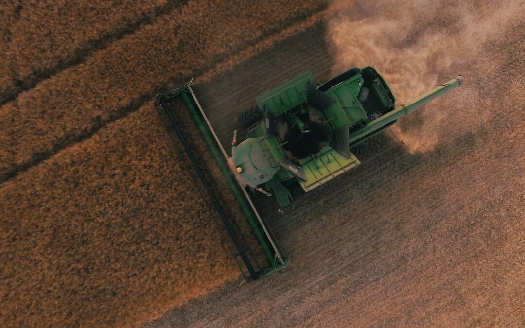 Diversity and inequality in farming futures