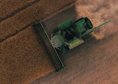Diversity and inequality in farming futures