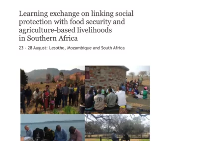 Learning exchange on linking social protection with food security and agriculture-based livelihoods in Southern Africa