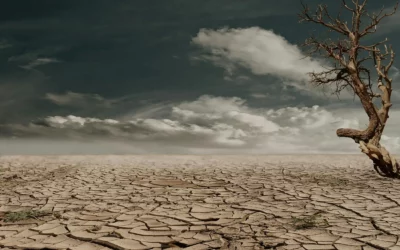 How adaptable are smallholder communities to the effects of climate change?