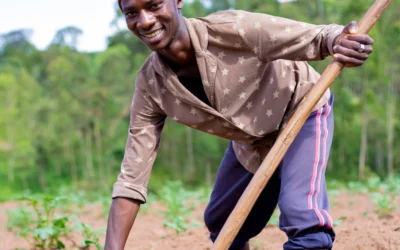 Media release: main players in food system convene to address food security