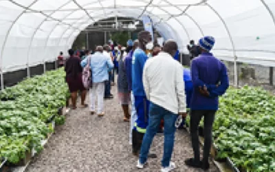 Ethekwini municipality, SA food lab partnership aims to strengthen local food networks impacted by covid-19
