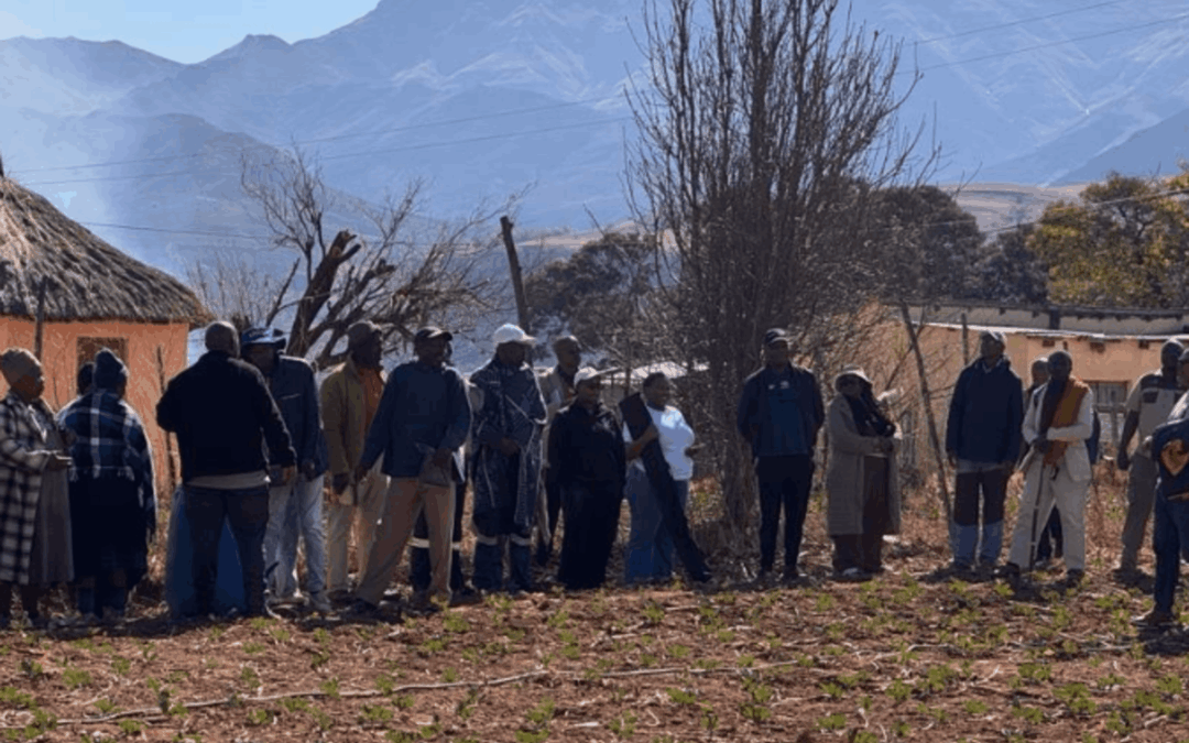 Taking the Lessons of Woza Nami to Scale